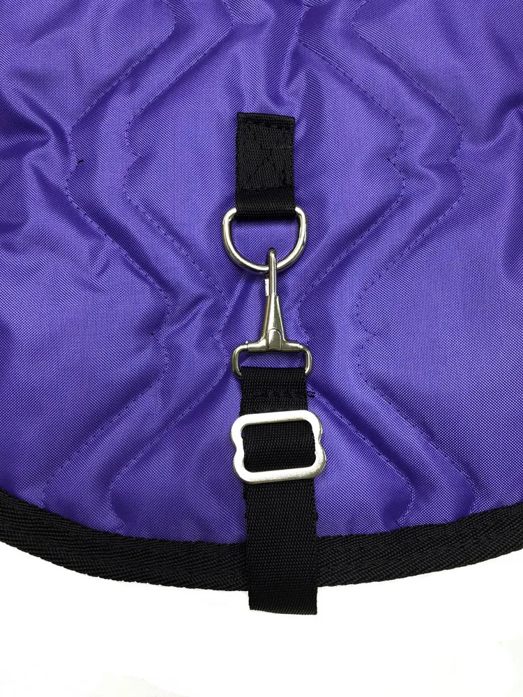 AJ Tack English Padded Saddle and Bridle Carrier Set