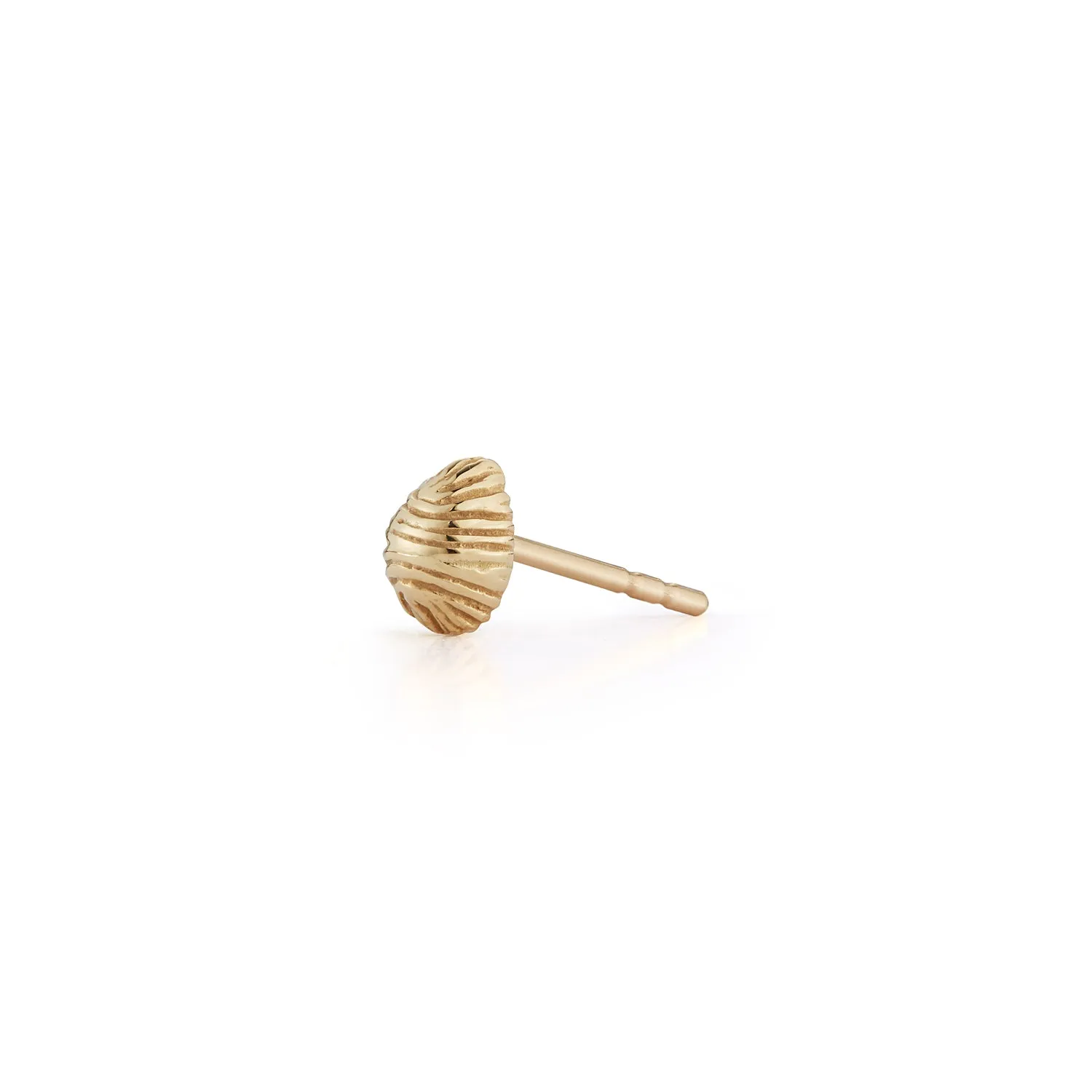 Bitsy Bean Stud - Closed