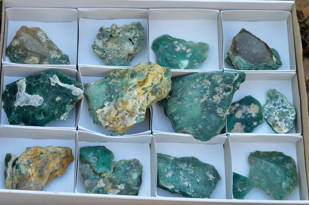 Natural Emerald Mtorolite Plates x 16 From Mutorashanga, Zimbabwe