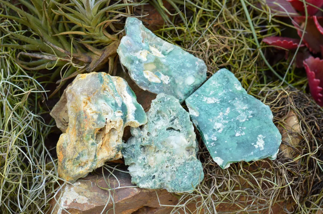 Natural Emerald Mtorolite Plates x 16 From Mutorashanga, Zimbabwe