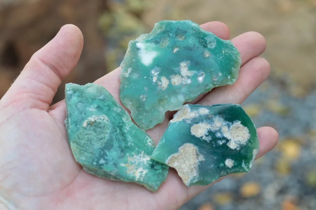 Natural Emerald Mtorolite Plates x 16 From Mutorashanga, Zimbabwe