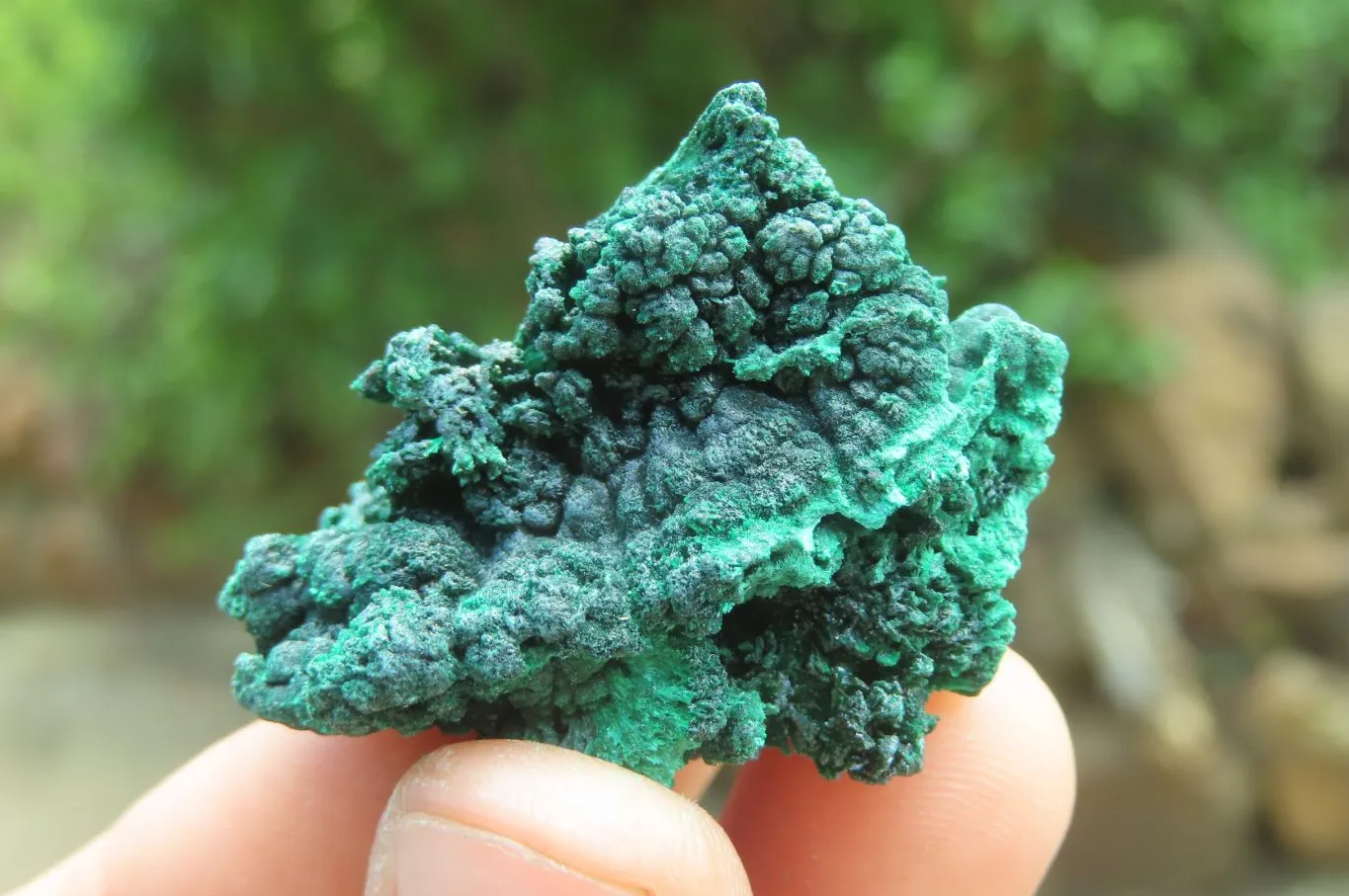 Natural Silky Malachite Specimens x 20 From Kasompe, Congo