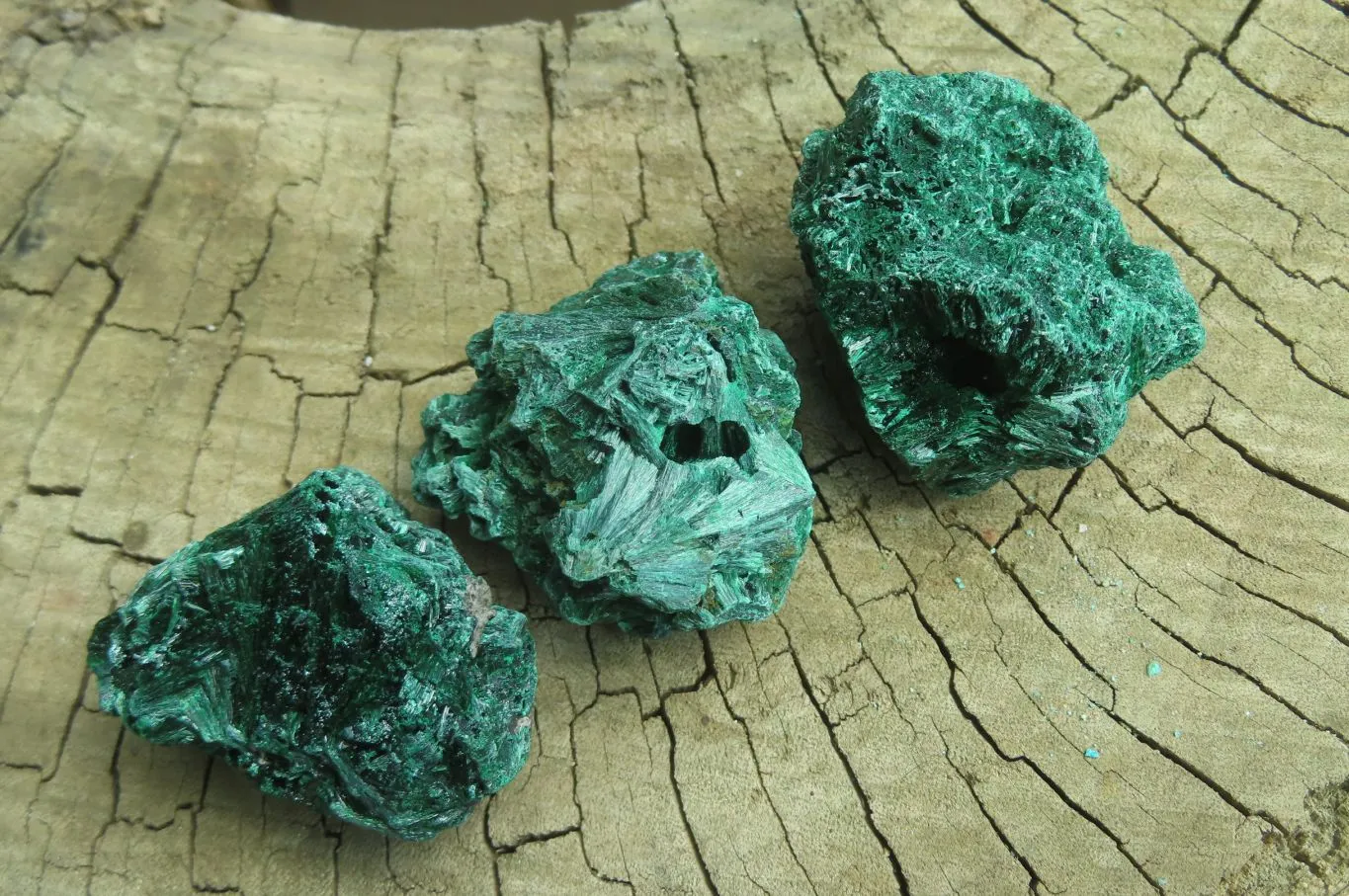 Natural Silky Malachite Specimens x 20 From Kasompe, Congo
