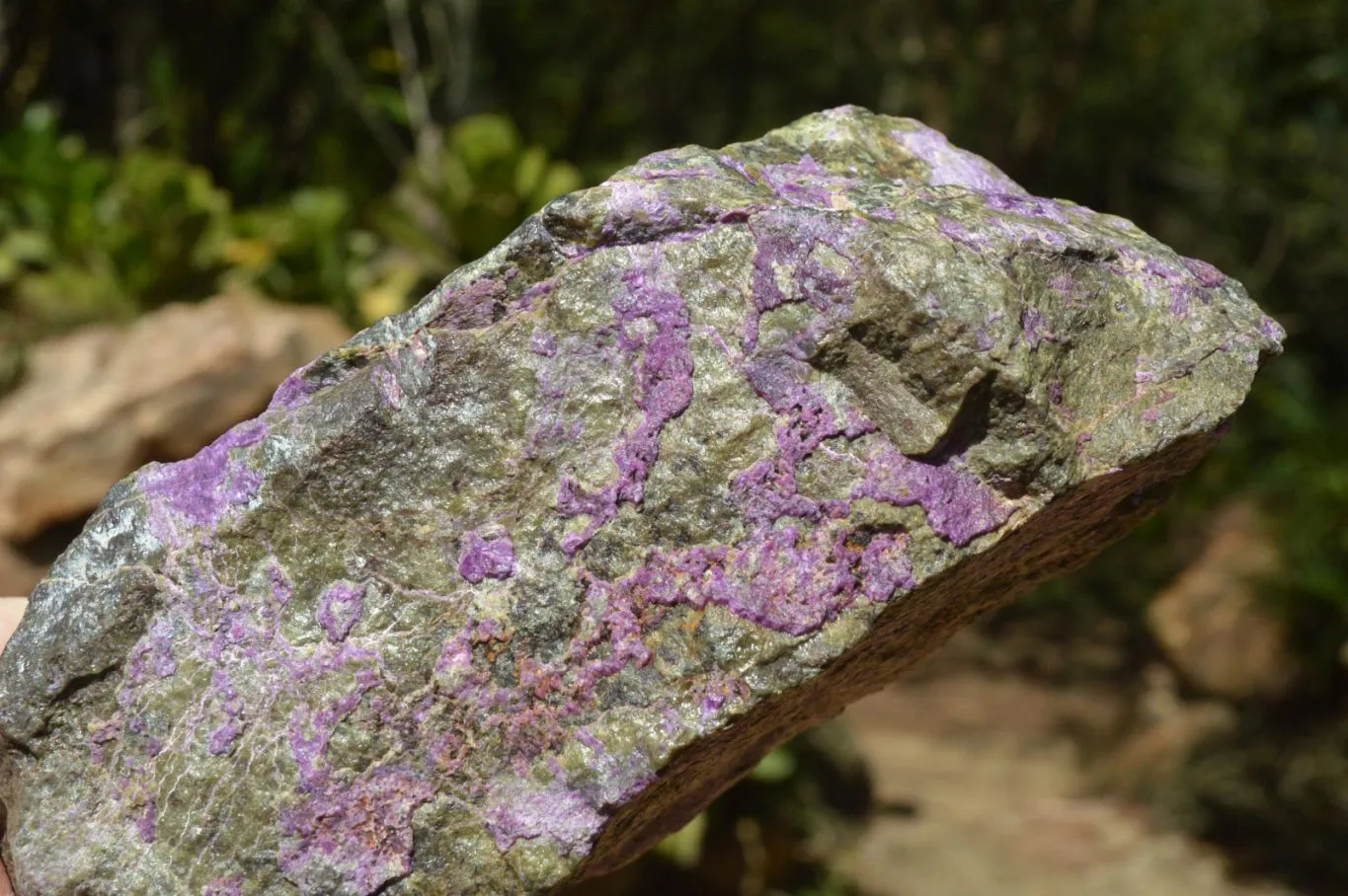 Natural Stichtite With Green Serpentine Specimens x 4 From Barberton, South Africa