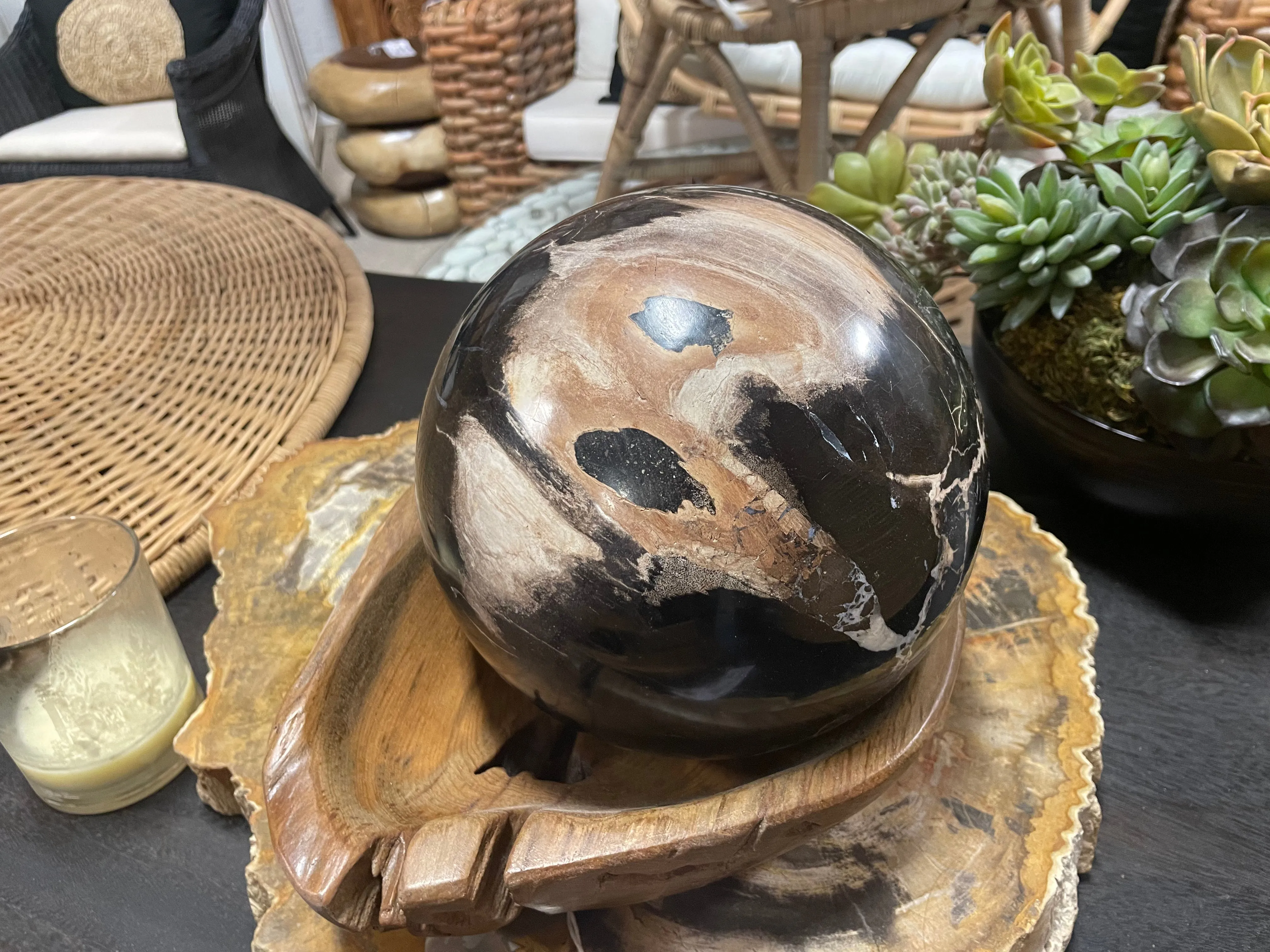 Petrified Wood Sphere Fossil Ball