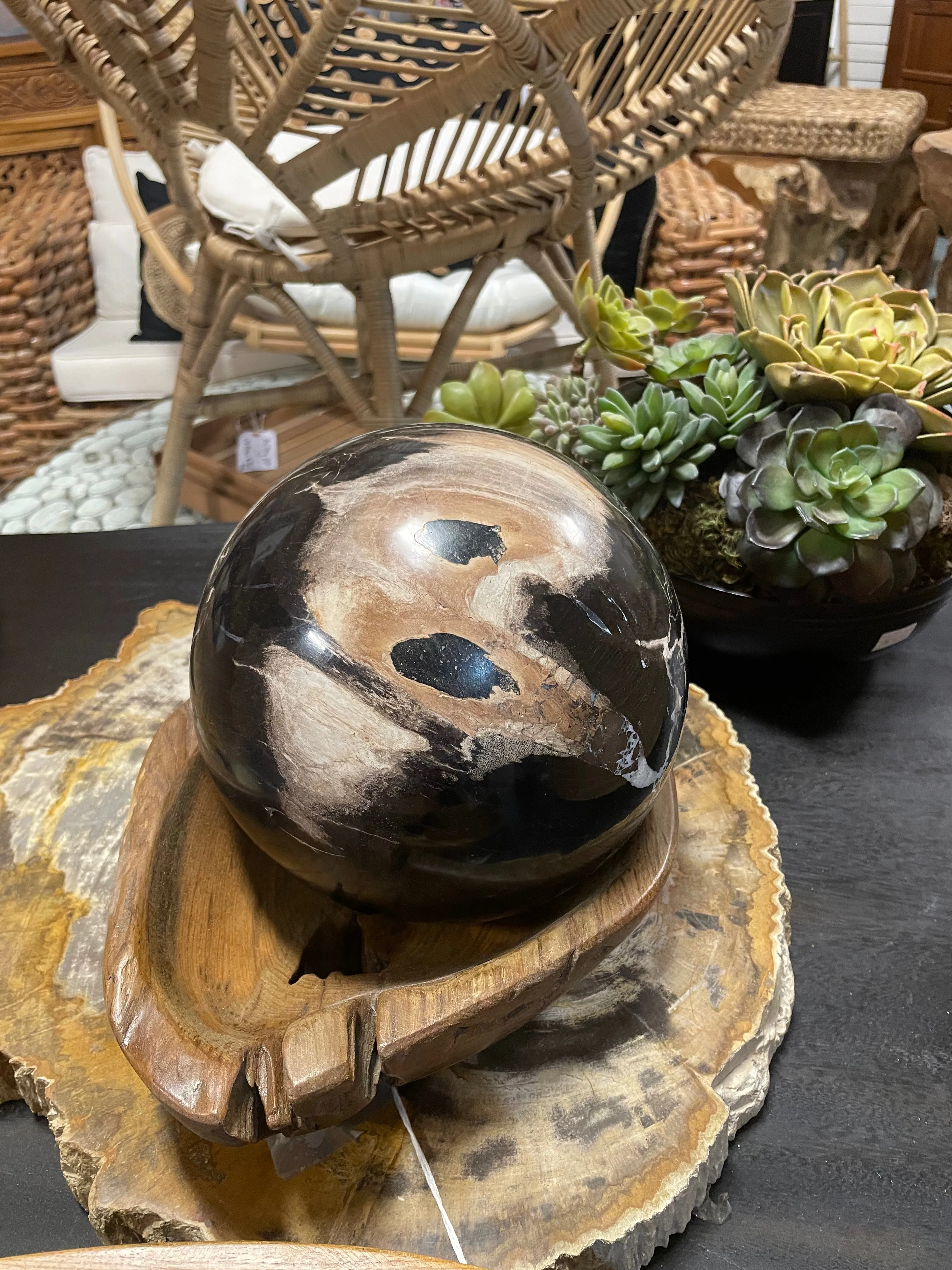 Petrified Wood Sphere Fossil Ball