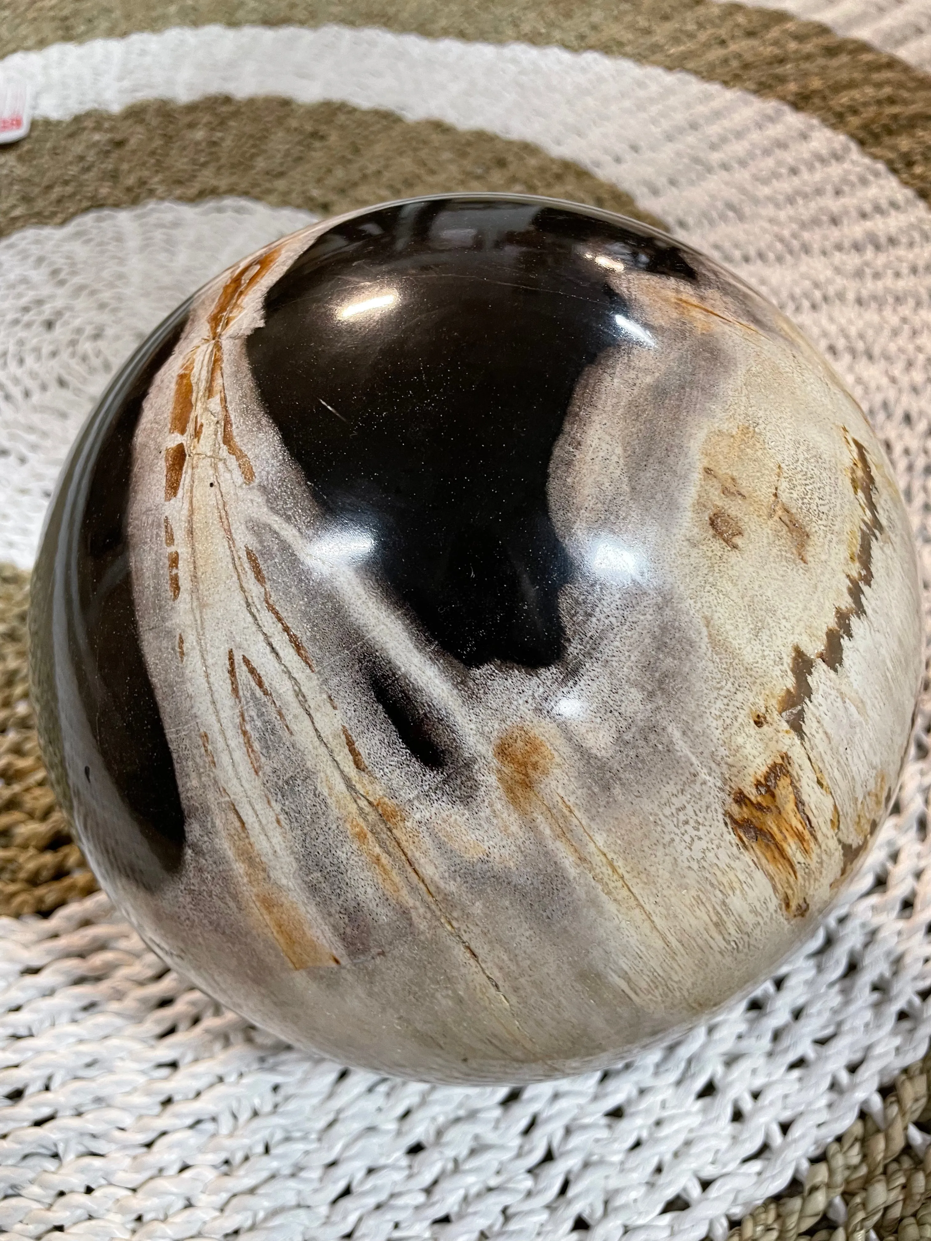 Petrified Wood Sphere Fossil Ball