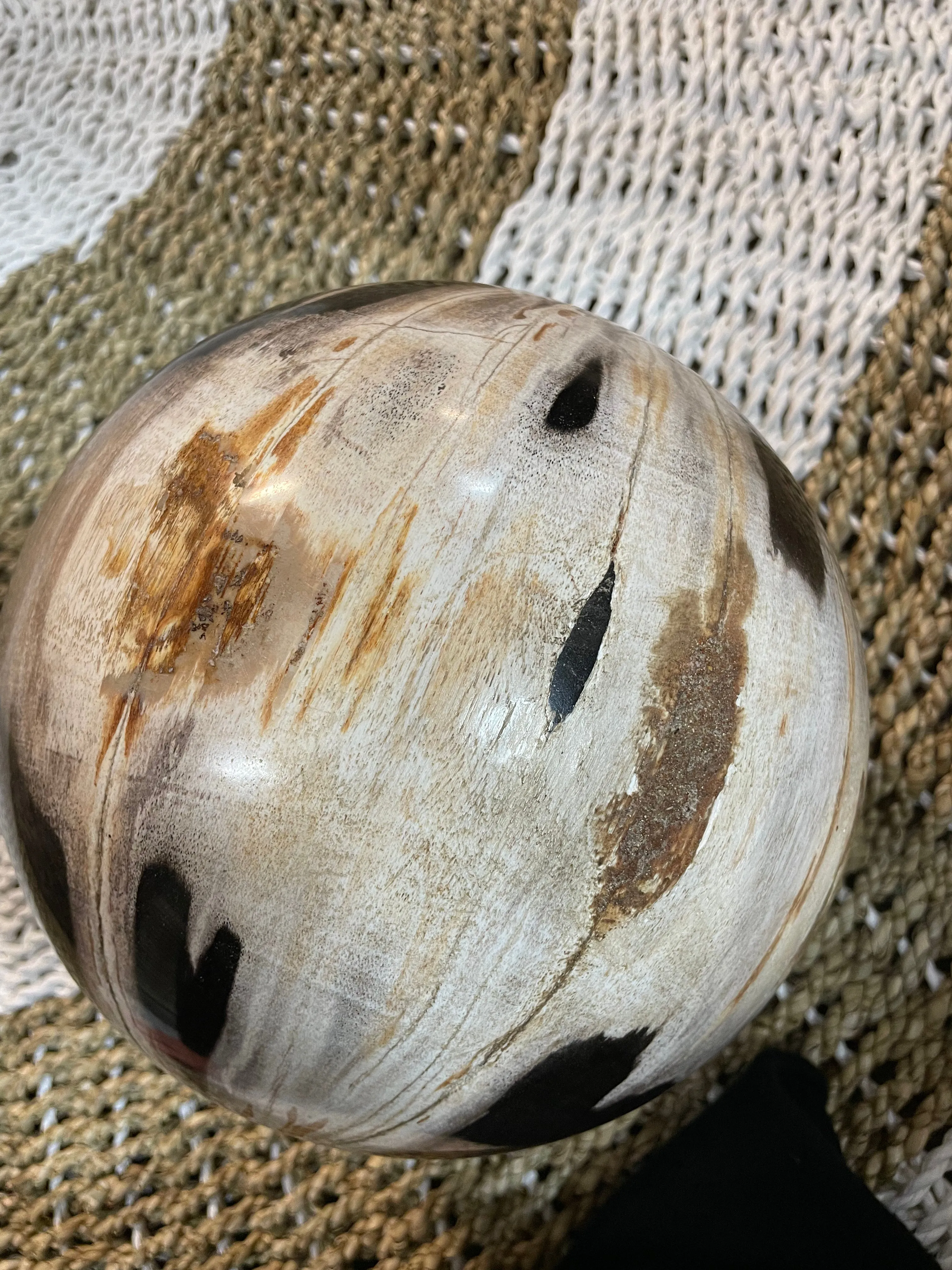 Petrified Wood Sphere Fossil Ball