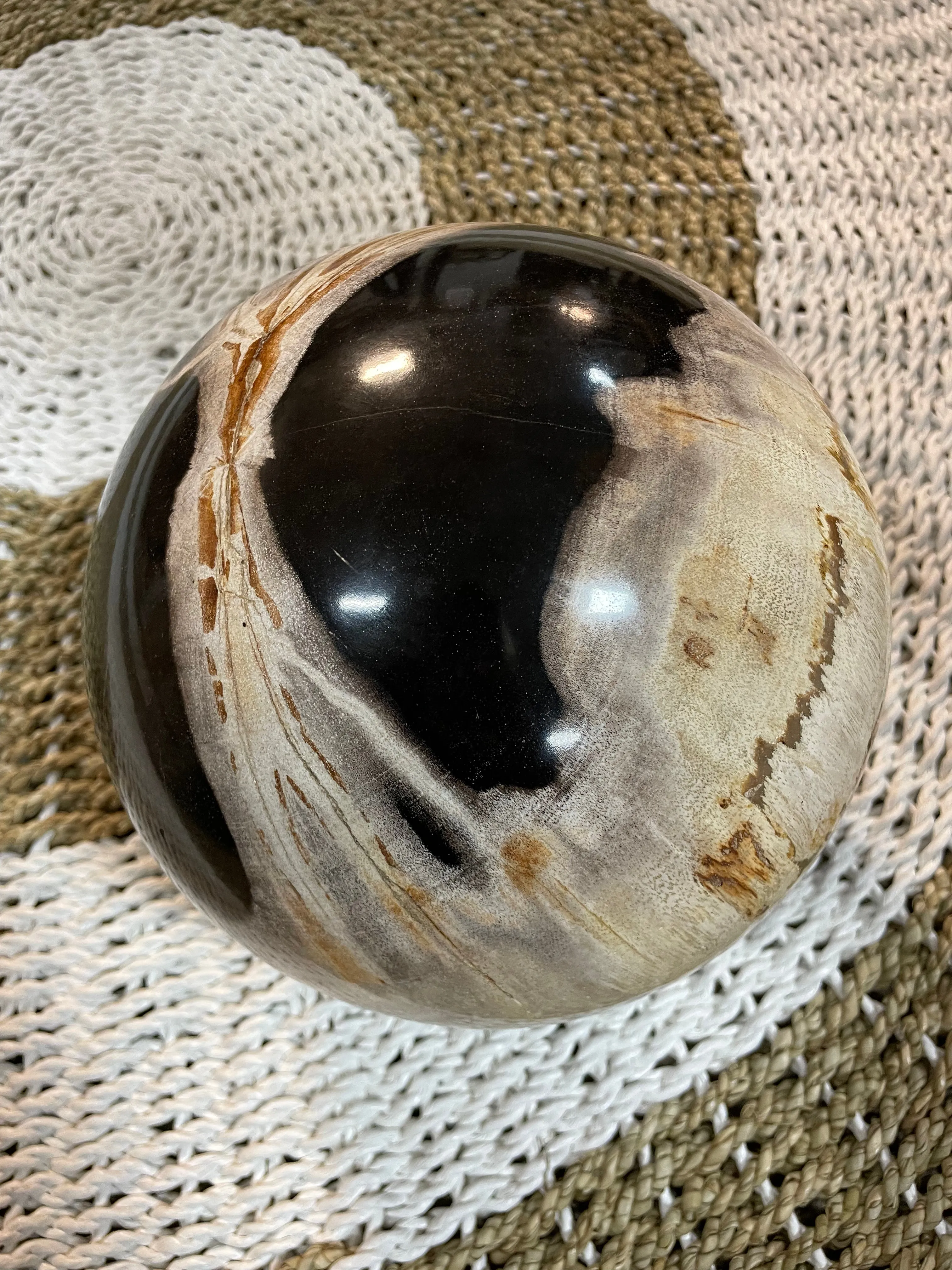 Petrified Wood Sphere Fossil Ball