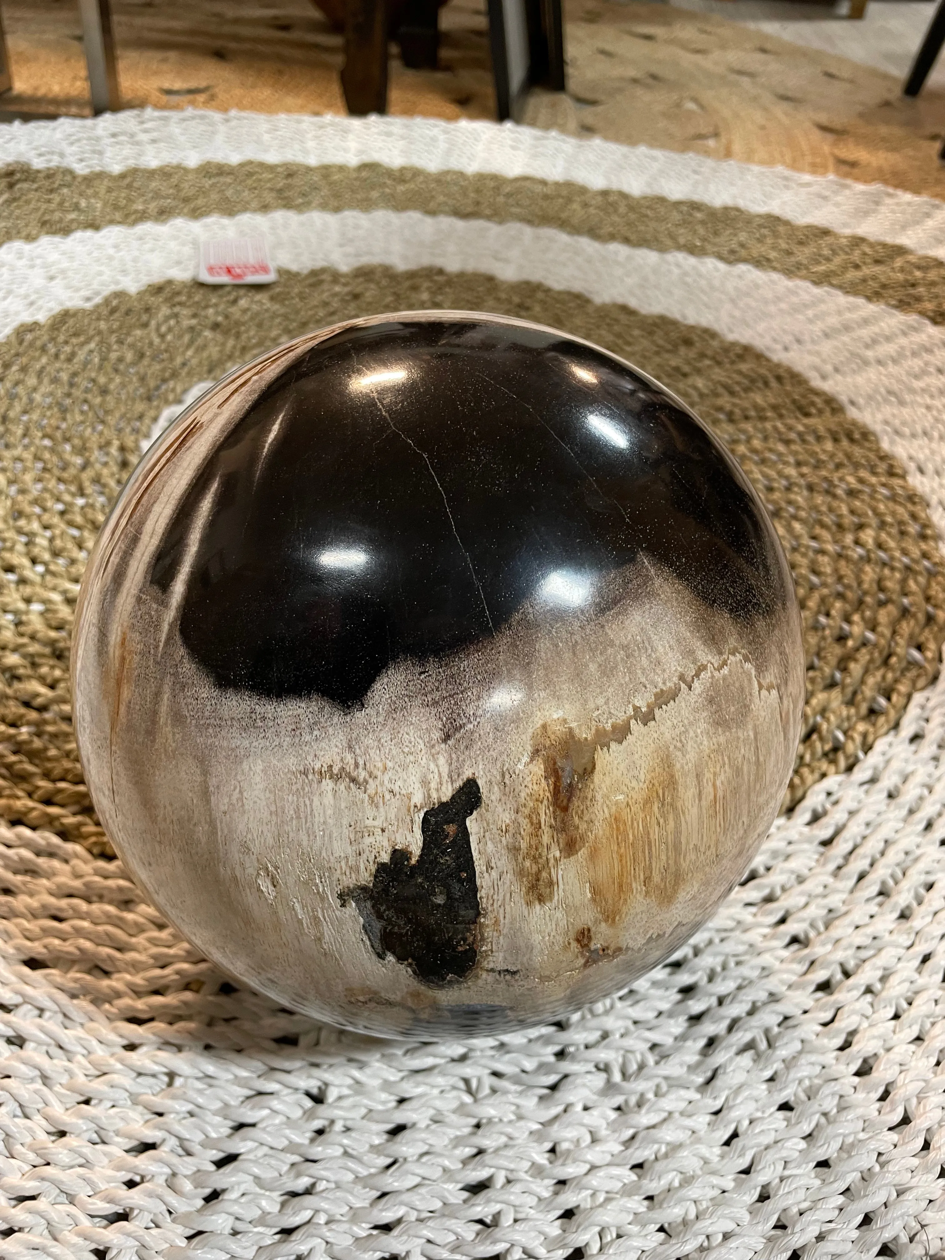 Petrified Wood Sphere Fossil Ball