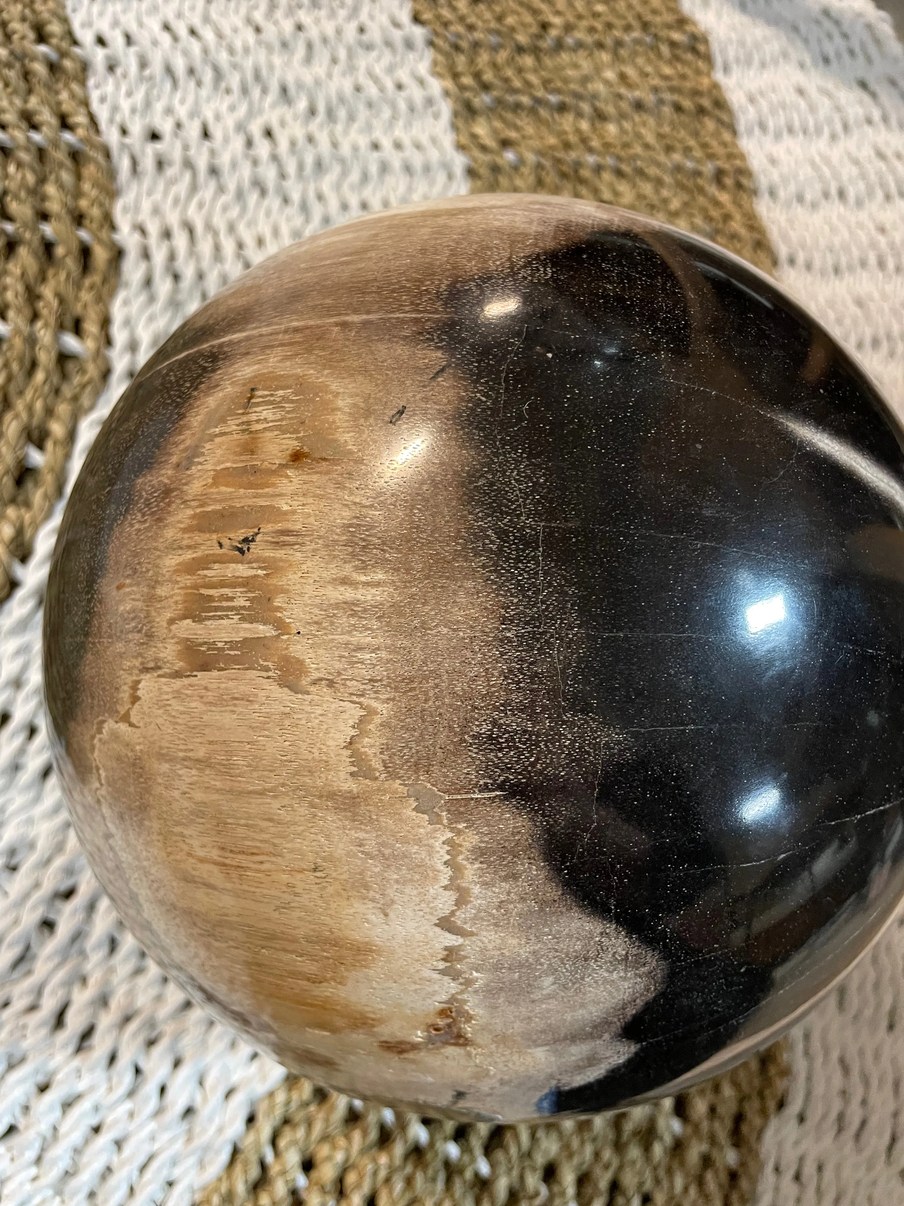 Petrified Wood Sphere Fossil Ball