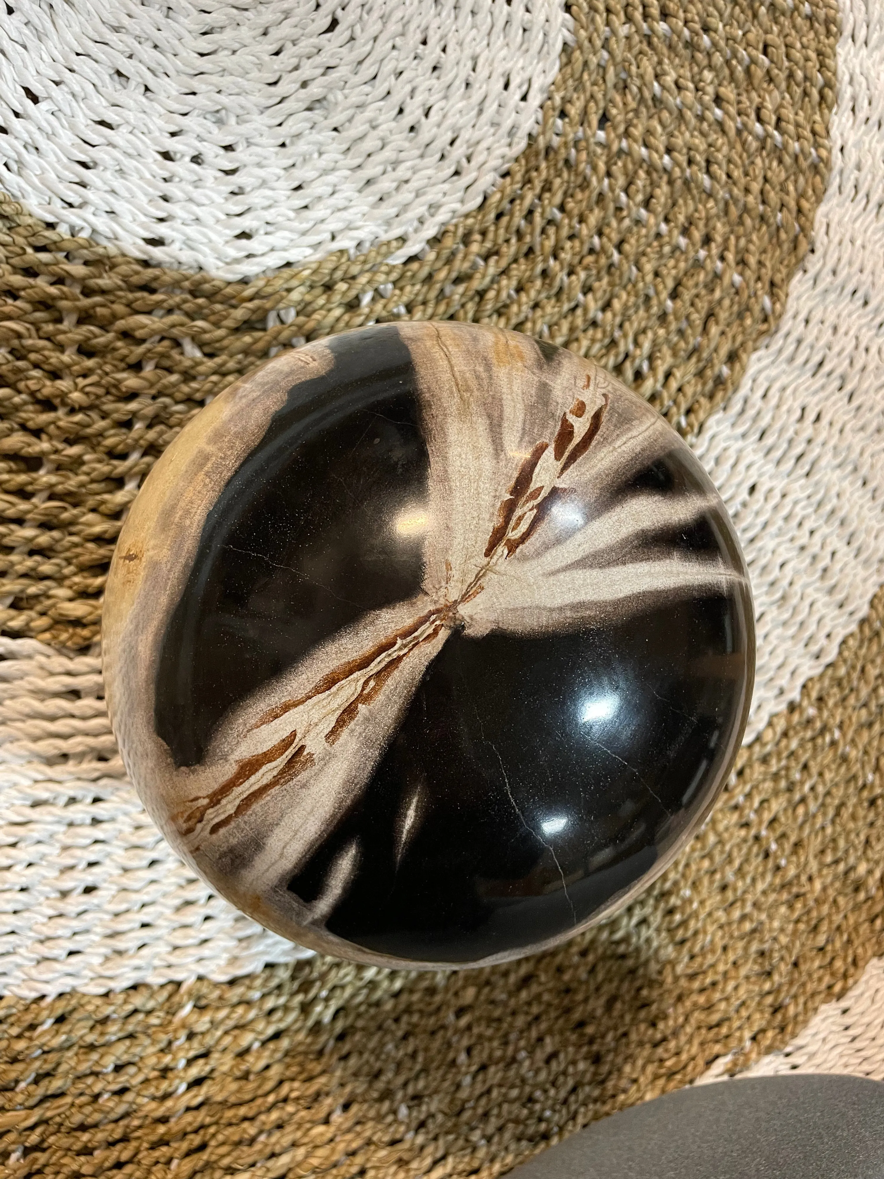 Petrified Wood Sphere Fossil Ball