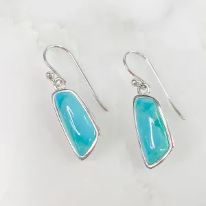 Sterling Silver and Turquoise Dangle Earrings
