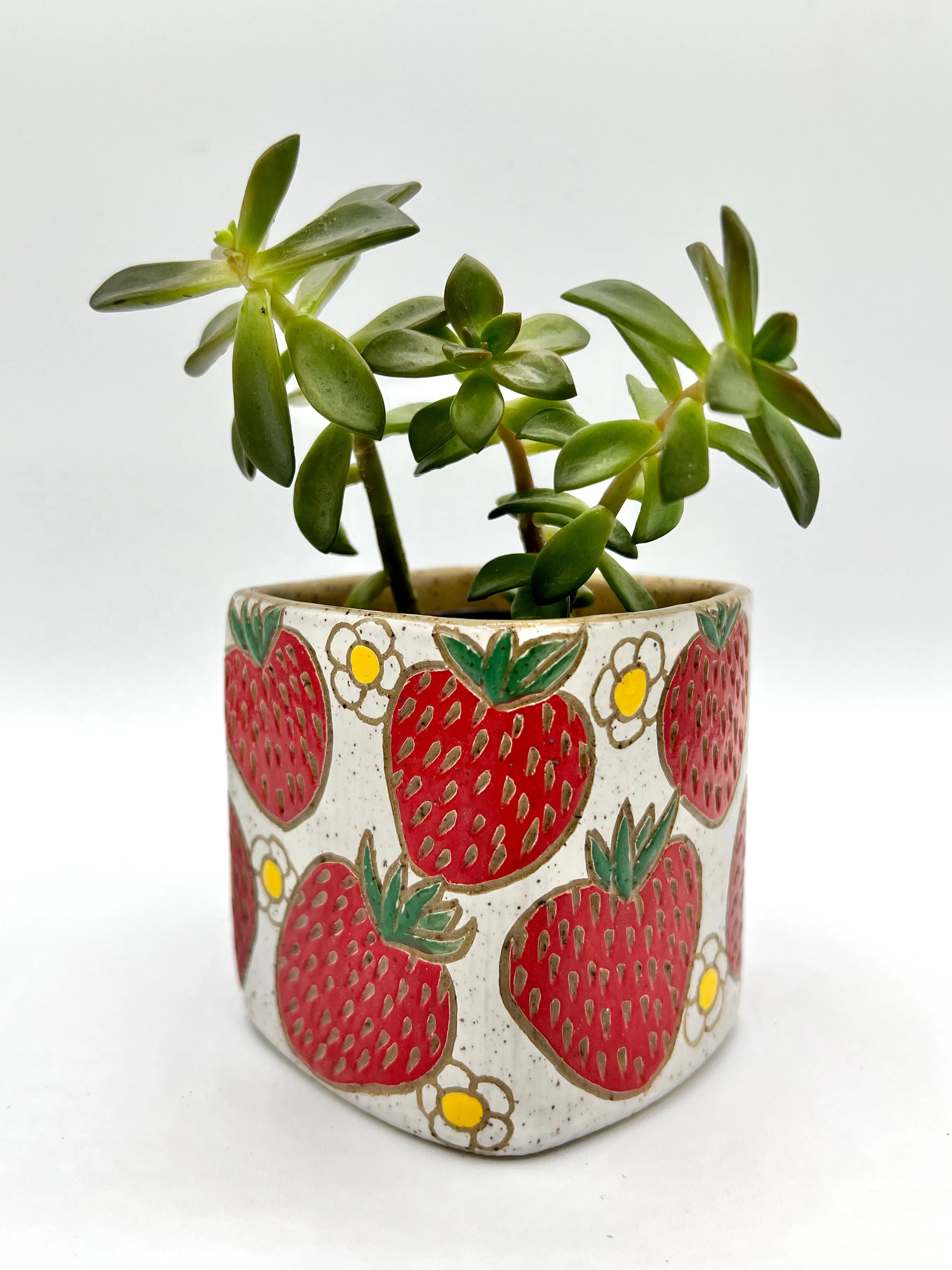 Strawberry Planter