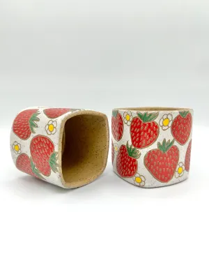 Strawberry Planter