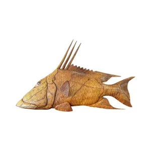 Teak Hogfish